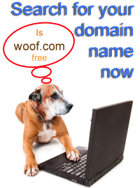 domain name search
